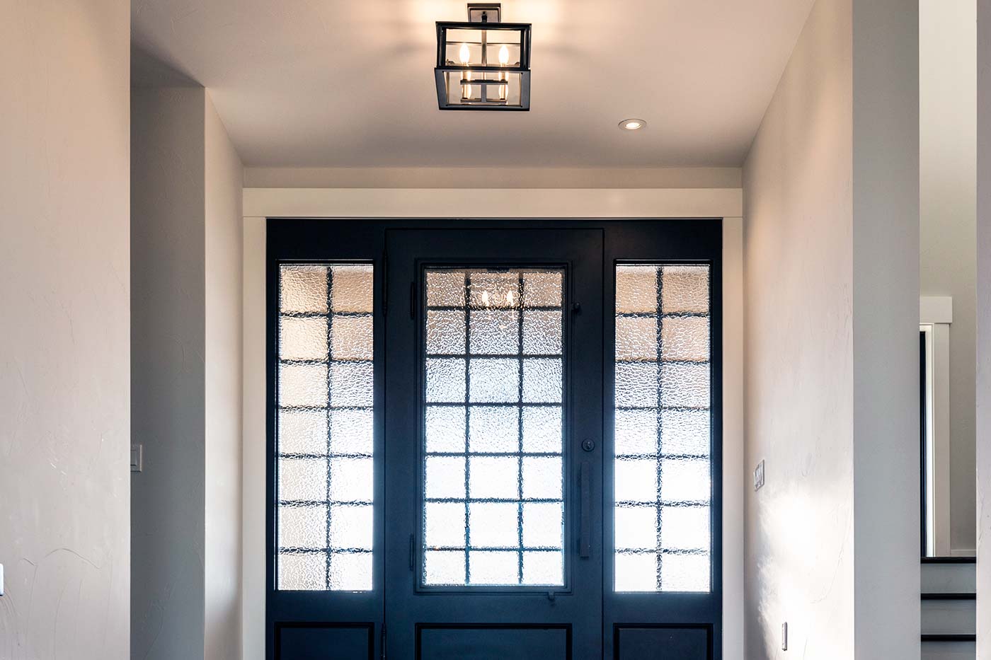 Frosted Iron Front Doors